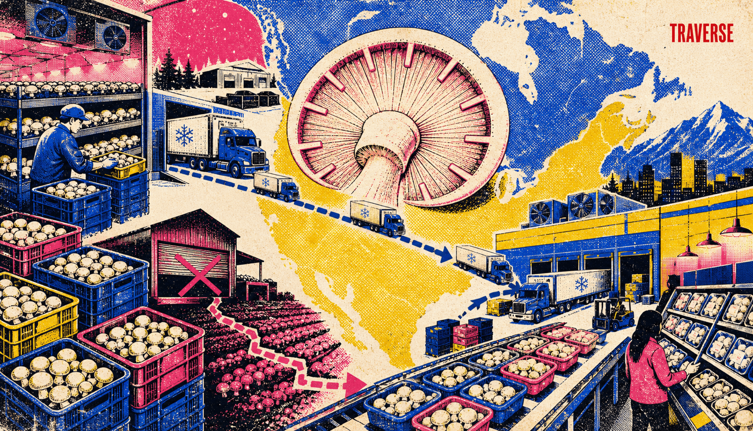 Risograph editorial illustration linking Canadian mushroom production, a twelve-day shelf-life clock, refrigerated routes, a closed grower, and western U.S. distribution to the case's reachable-supply injury question.